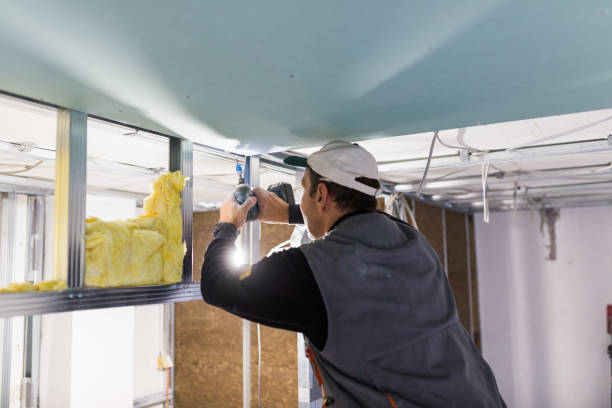 Best Insulation Contractors for Homes  in Randolph, NE