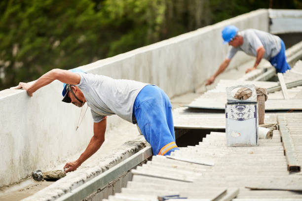 Best Wall Insulation Contractor  in Randolph, NE