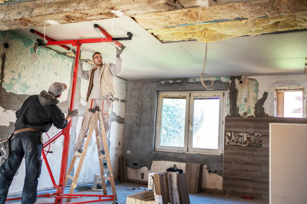 Best Professional Insulation Contractor  in Randolph, NE