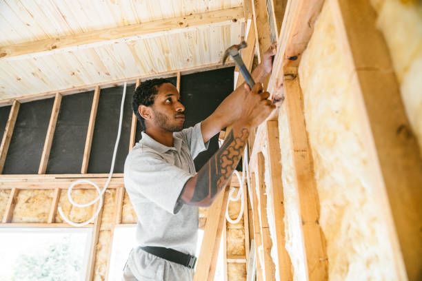Best Insulation Inspection Services  in Randolph, NE