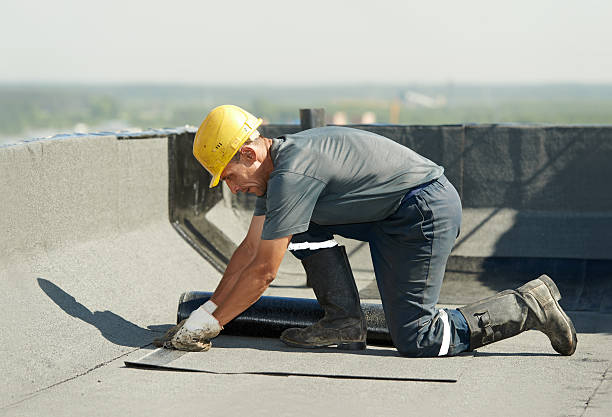 Best Attic Insulation Installation  in Randolph, NE