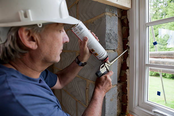 Best Energy-efficient Insulation  in Randolph, NE