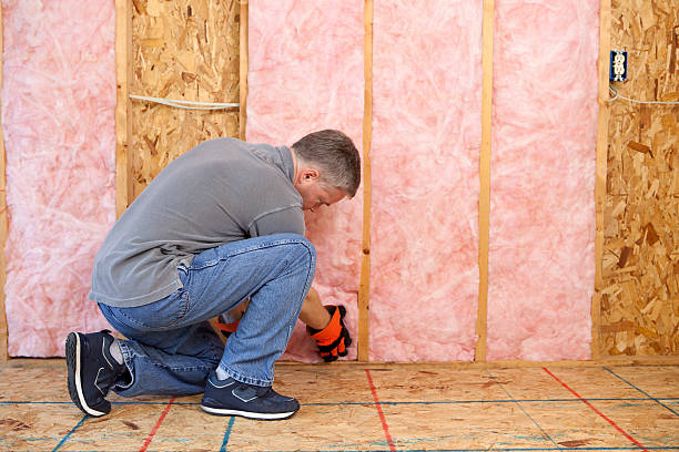 Best Local Insulation Services  in Randolph, NE