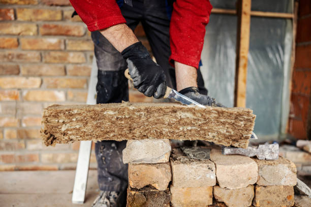 Best Cellulose Insulation  in Randolph, NE