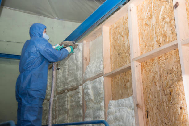 Best Wall Insulation Contractor  in Randolph, NE