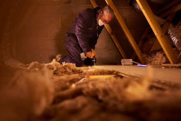 Best Garage Insulation Installation  in Randolph, NE